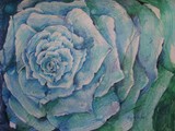 by Brigitte  Hintner