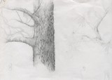 by Desi Butler