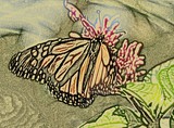 by Bonnie Newton