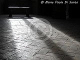 by Maria Paola Di Santo