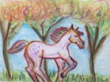 by Pamela Miller