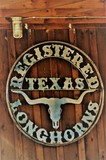Texas Longhorns Sign