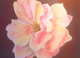 by Judith  webb