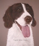 by Joanne Simpson-Connor