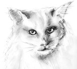 by Marilyn Barton