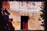 by amira el-fohail