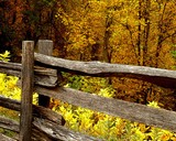 by Terry Lee  Clinger