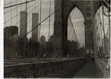 by Lynne Meccariello 