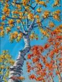 by Scott Niemi