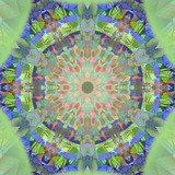 by Minnie Shuler