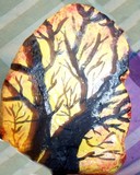 by Cathy Kaiser