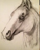 by Shannon McClane