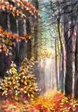 by Natalja Picugina
