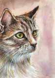 by Natalja Picugina
