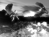 by Steve Kelly