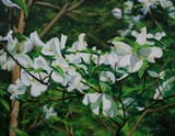 by Heather Leigh Douglas