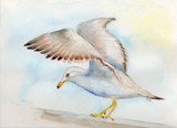 by Doris Blessington