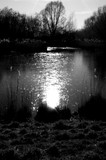 by Jan Jacob Mekes