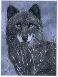 by diane deason