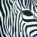by Jodi Bilske