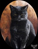 by Cara Bevan