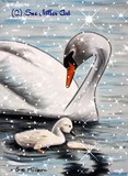 by Sue  miller