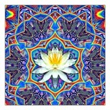 by william james taylor junior