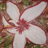 by Cindy Hunt