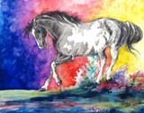 by emily Prozinski