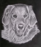 by Sheral Fernandes