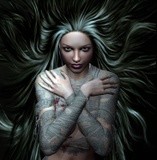 by lee taylor