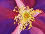by Deborah Young