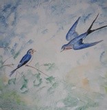 by Patricia Elgee