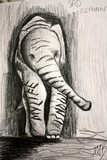 by Molly Belinsky