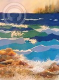 by Dianne Nungesser