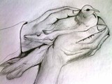 by Kalai S