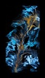 by Vicki Pelham