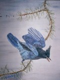 by Hedy Fischer