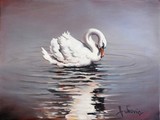 by Dusan Vukovic