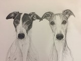 by Stacey Makar