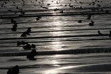 by Einat Maor
