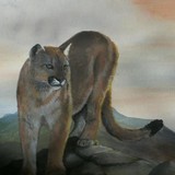 by Tammy J Johnson