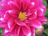 by Jim & Darlene Stewart