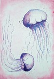 by Padmavathy Ragavendran