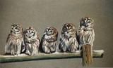 by Margie Gilligan