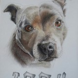 by Debi Ware