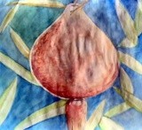 by Dana Koffenberger