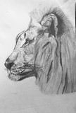 by Manasi Manasi 
