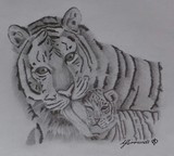 by Amanda Simmonds