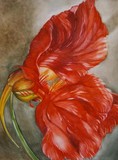 by ANNA DOVIAK